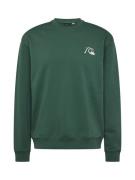 QUIKSILVER Sweatshirt 'DNA'  gran / hvid