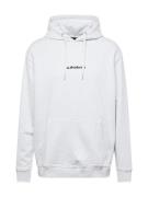 QUIKSILVER Sweatshirt 'DNA'  hvid-meleret