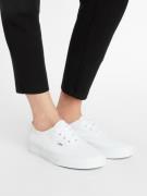 VANS Sneaker low 'Authentic'  hvid