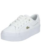 LACOSTE Sneaker low '47CFA0005'  guld / hvid