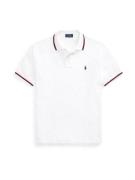 Polo Ralph Lauren Bluser & t-shirts  mørkeblå / rød / offwhite