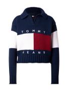 Tommy Jeans Pullover  blå / rød / hvid