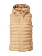 TOMMY HILFIGER Vest  khaki