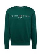 TOMMY HILFIGER Sweatshirt  navy / mørkegrøn / rød / hvid