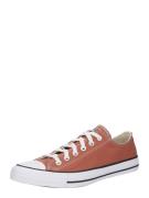 CONVERSE Sneaker low 'CHUCK TAYLOR ALL STAR'  cognac / hvid