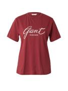 GANT Shirts  mørkerød / hvid