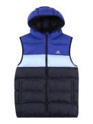 ADIDAS SPORTSWEAR Sportsvest  blå / natblå / lyseblå / grå