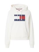 Tommy Jeans Sweatshirt  navy / rød / hvid