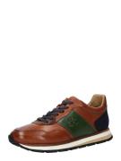 La Martina Sneaker low  navy / cognac / grøn