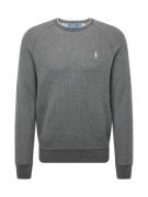 Polo Ralph Lauren Pullover  mørkegrå