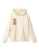 NAME IT Sweatshirt 'NKMVugo'  sand / marin / mørkebrun / orange