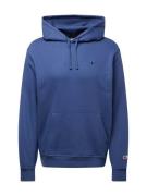 Champion Authentic Athletic Apparel Sweatshirt  ensian