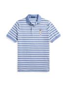 Polo Ralph Lauren Bluser & t-shirts  beige / røgblå / hvid