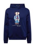 Polo Ralph Lauren Sweatshirt  navy / opal / brun / hvid