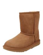 UGG Snowboots  cognac