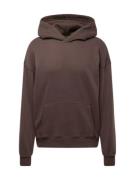 HOLLISTER Sweatshirt  choko