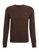 Polo Ralph Lauren Pullover  brun