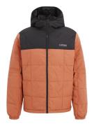 JACK & JONES Vinterjakke 'JJBEN'  brun / sort