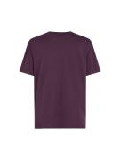 O'NEILL Shirts  aubergine / sort