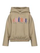 NAME IT Sweatshirt 'NKFOLANJA'  mørkebeige / ensian / mandarin / lyser...