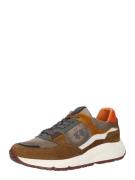 La Martina Sneaker low  marin / brun / hvid