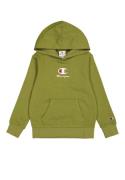 Champion Authentic Athletic Apparel Sweatshirt  navy / lime / rød / hv...