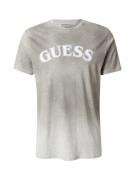 GUESS Bluser & t-shirts  stone / mørkegrå / hvid-meleret