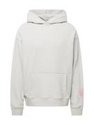 Zadig & Voltaire Sweatshirt  grå-meleret / pink