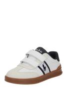 Polo Ralph Lauren Sneakers 'HERITAGE COURT III'  navy / hvid / offwhit...