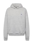 Abercrombie & Fitch Sweatshirt  blå / grå-meleret