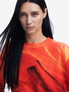 Desigual Pullover  brun / orange / rød