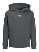 Jack & Jones Junior Sweatshirt  grå / blandingsfarvet