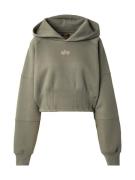 ALPHA INDUSTRIES Sweatshirt  beige / oliven