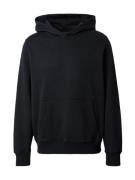 Abercrombie & Fitch Sweatshirt  sort