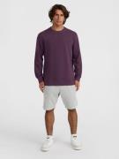 O'NEILL Sweatshirt  aubergine