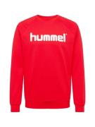 Hummel Sportsweatshirt  brandrød / hvid