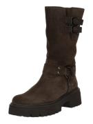 GABOR Boots  brun