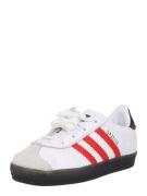 ADIDAS ORIGINALS Sneakers 'GAZELLE CF EL I'  lysegrå / rød / sort / hv...