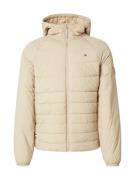 TOMMY HILFIGER Vinterjakke  chamois