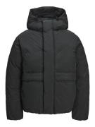 JACK & JONES Vinterjakke  sort