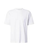 HOLLISTER Bluser & t-shirts  hvid