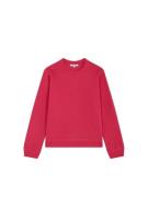 Scalpers Sweatshirt  fuchsia