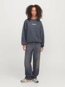 JJXX Sweatshirt 'JXSANDRA'  grafit / rød / hvid