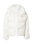 ELLESSE Vinterjakke  offwhite