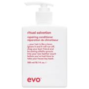 Evo Repair SalvationCare Conditioner 300 ml