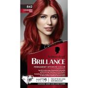 Schwarzkopf Brillance  Hair Color