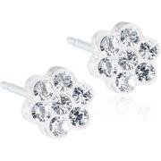 Blomdahl Medical Plastic  Daisy 5mm Crystal