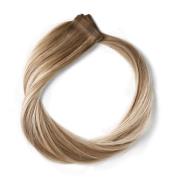 Rapunzel Tape-on extensions Premium Tape Extensions Classic 4 50