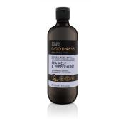 Baylis & Harding Goodness Sea Kelp & Peppermint Body Wash 500 ml