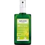Weleda Citrus 24h Deo Spray 100 ml